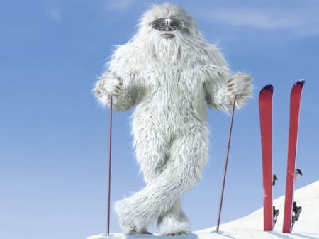 Yeti img