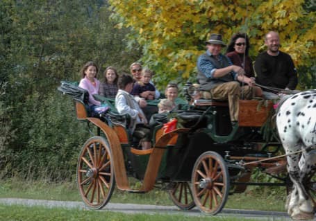 Horse and Carriage img