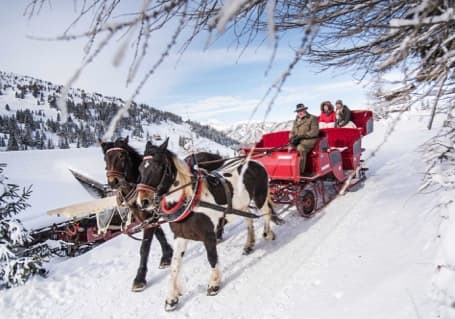 Horse and Sleigh img