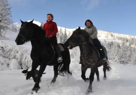 Horse Riding Winter img