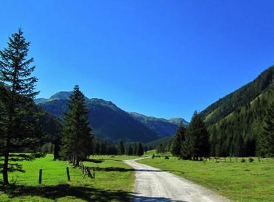 Idyllic Mountain Path img