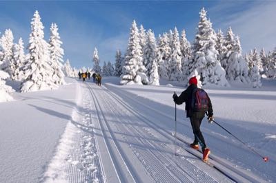 Cross Country Ski img