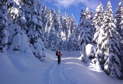 Snowshoe idyllic img