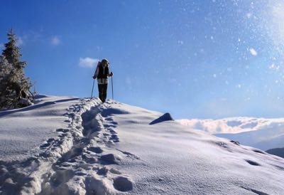 Snowshoe Walking img