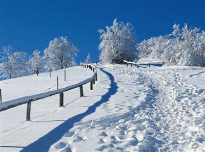 Winter path img