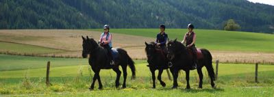 Horse Riding Lungau img