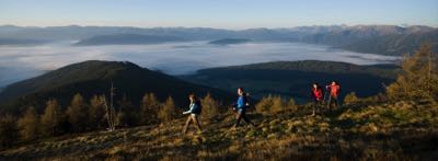 Nordic Walking Pano img