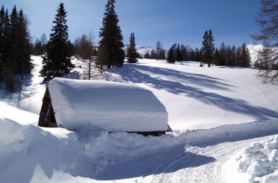 Winter Path img